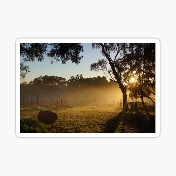 Sunrise over the vines by Avril Thomas at Magpie Springs Sticker