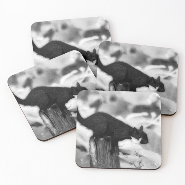 Item preview, JUMP designed and sold by BOLLA67.