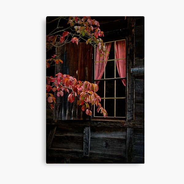 Checkered Past Canvas Print