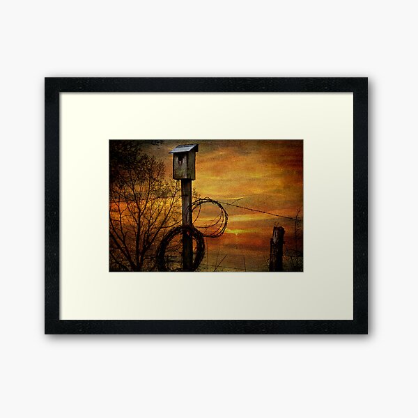Blue Bird House and Barbed Wire Framed Art Print