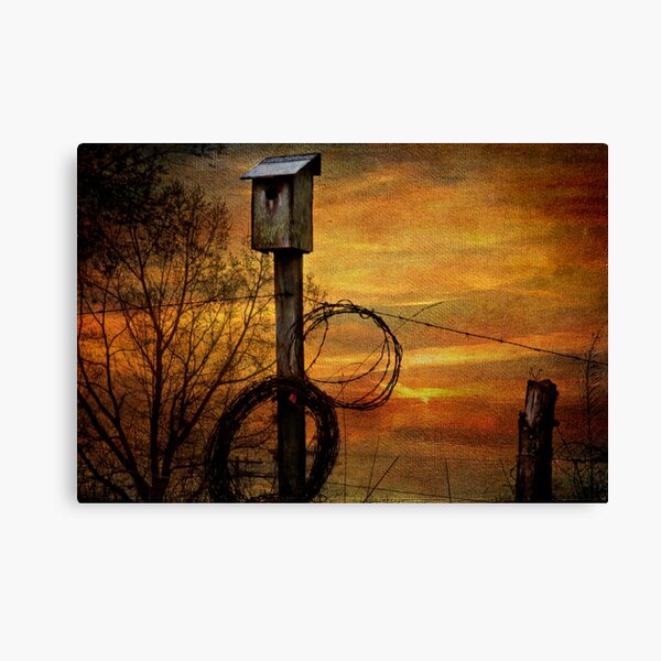 Blue Bird House and Barbed Wire Canvas Print