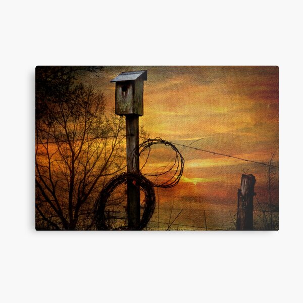 Blue Bird House and Barbed Wire Metal Print