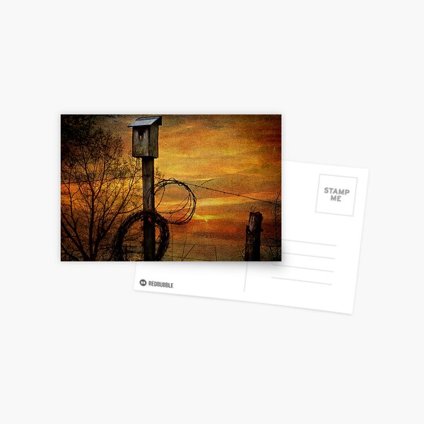 Blue Bird House and Barbed Wire Postcard