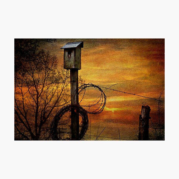 Blue Bird House and Barbed Wire Photographic Print