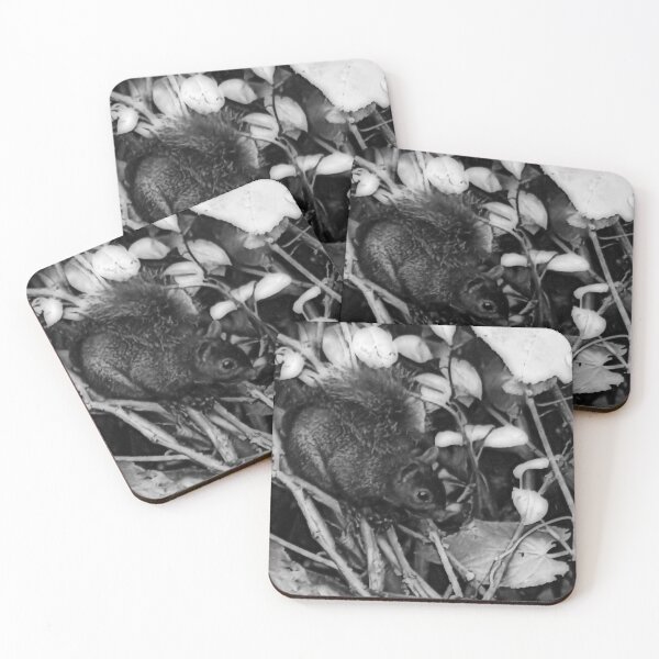 Item preview, NESTLED designed and sold by BOLLA67.