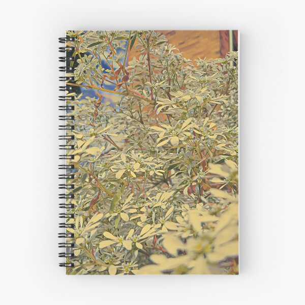 Artikelvorschau, Schneeflocke B # 5 entworfen und verkauft von Simon Drew.