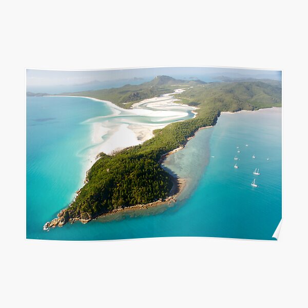 Tongue Point Poster