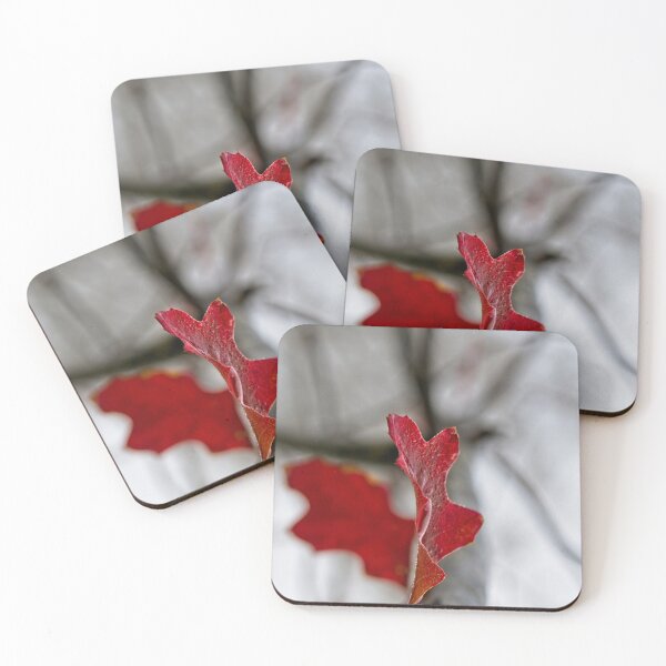 Item preview, minus 1 C: It's Autumn in Canberra/ACT/Australia (5) designed and sold by Wolf Sverak Photography.