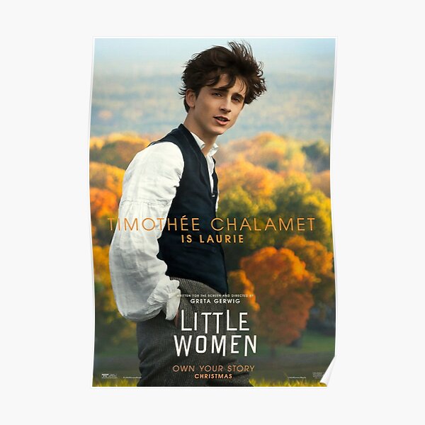handsome boy Poster