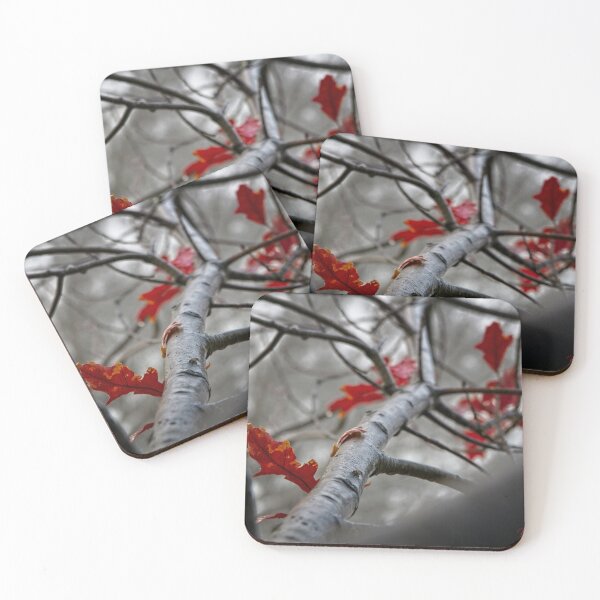 Item preview, minus 1 C: It's Autumn in Canberra/ACT/Australia (4) designed and sold by Wolf Sverak Photography.