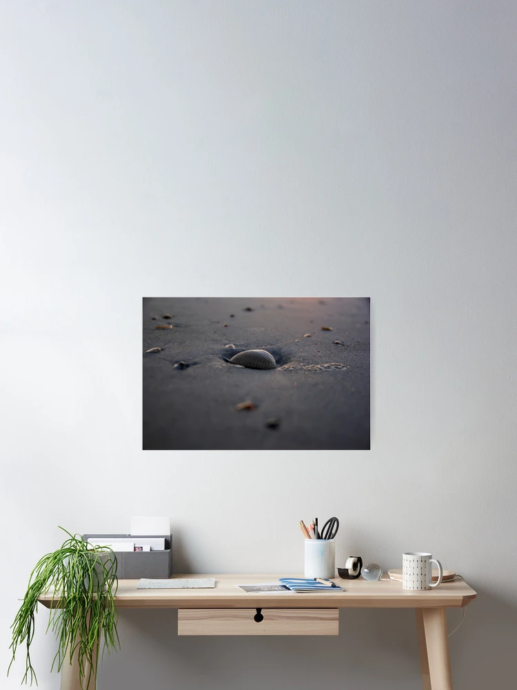 Thumbnail 2 of 3, Poster, Shells designed and sold by CreativeKitty.