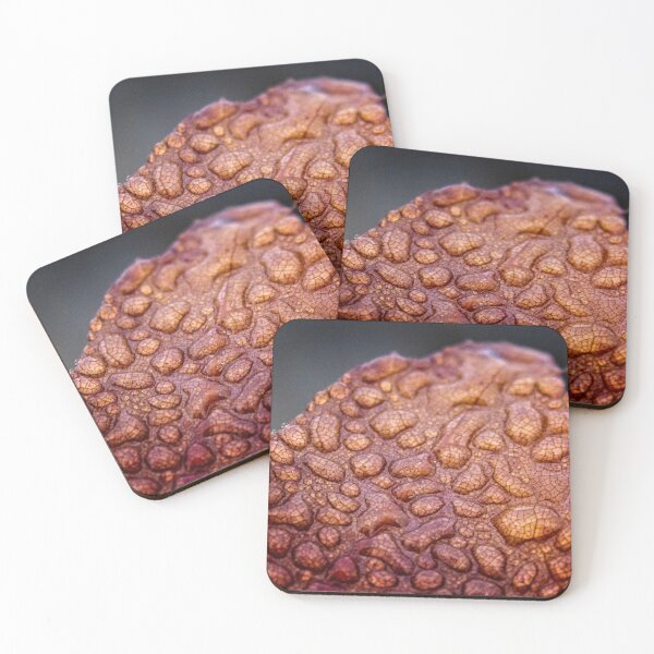 Item preview, minus 1 C: It's Autumn in Canberra/ACT/Australia (3) designed and sold by Wolf Sverak Photography.