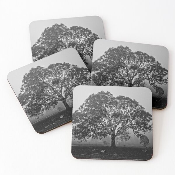 Item preview, minus 1 C: It's Autumn in Canberra/ACT/Australia (1) designed and sold by Wolf Sverak Photography.