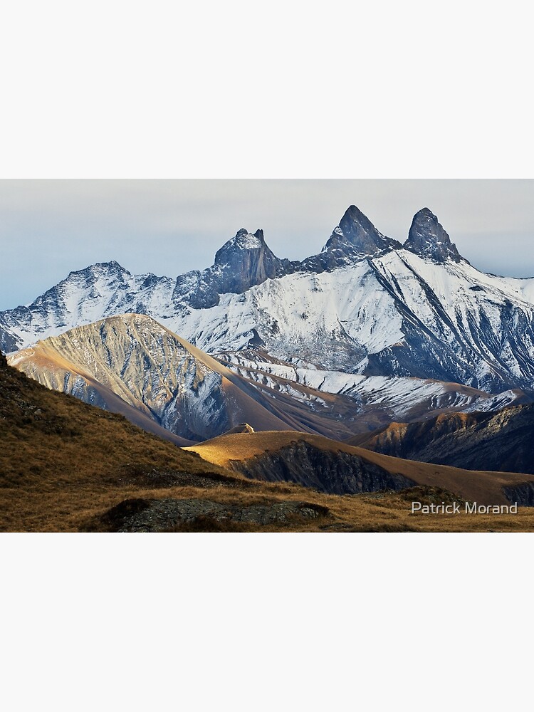 Autumn on Alpine needles by patmo