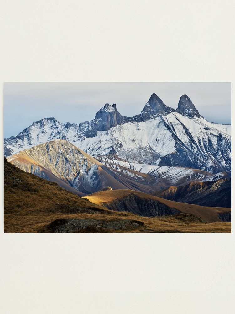 Alternate view of Autumn on Alpine needles Photographic Print