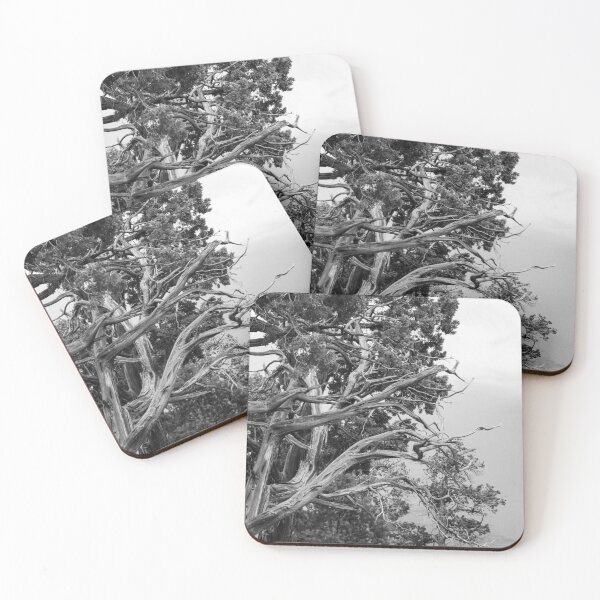 Item preview, Twisted Pine designed and sold by HausHatfield.