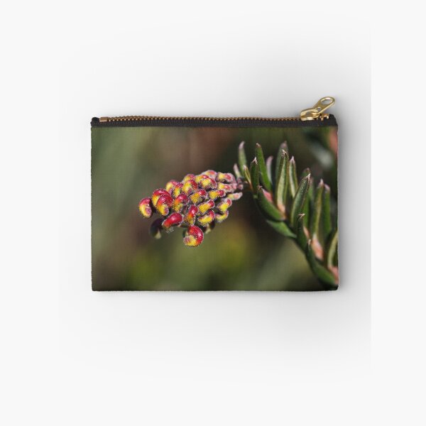 Item preview, Grevillea Fireworks Flowering  designed and sold by Joy Watson - Natural Light Photography .