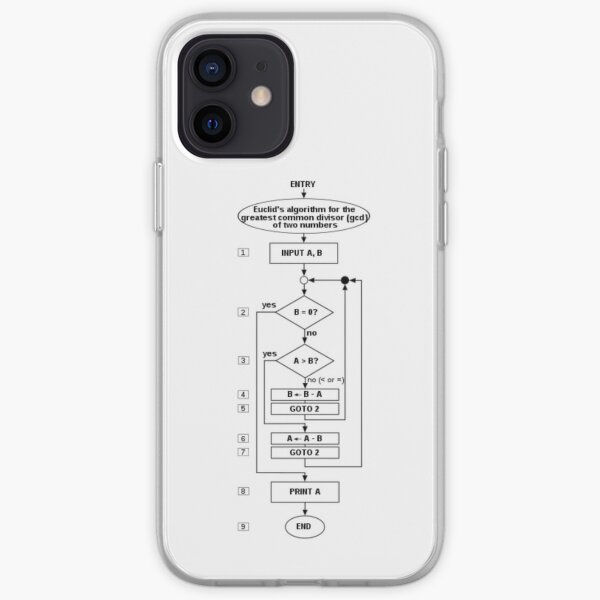 Flowchart of an algorithm (Euclid&#39;s algorithm) for calculating the greatest common divisor iPhone Soft Case