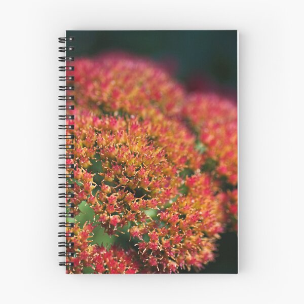 Item preview, Red Sedum Plant Flowers designed and sold by Joy Watson - Natural Light Photography .