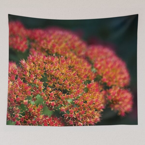 Item preview, Red Sedum Plant Flowers designed and sold by Joy Watson - Natural Light Photography .