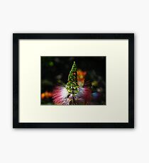 Weeds - Hierbajo Framed Print