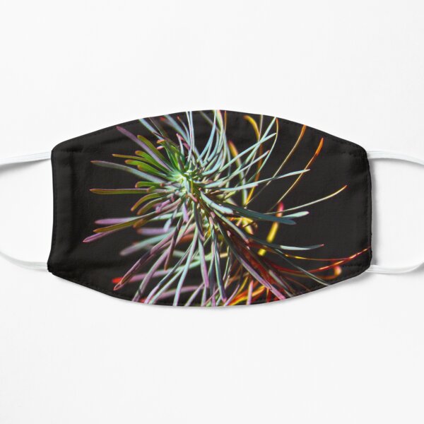 Multicolored plant that looks like pine leaves on fire Mask