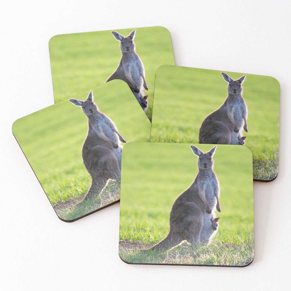 Australia Photography - Mommy Kangaroo With Her Child Desk Mat by Mads00