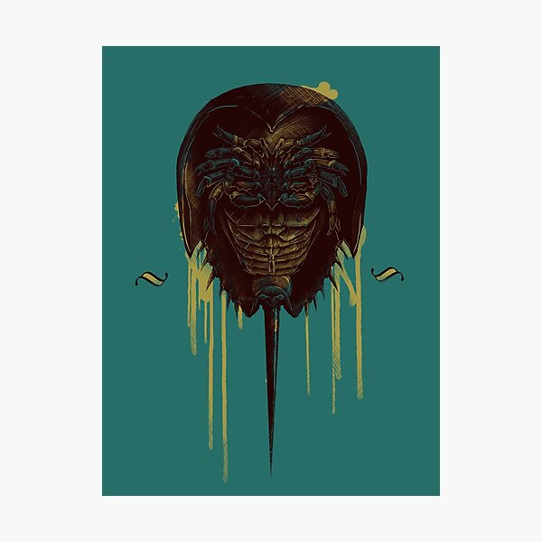 Unlucky Photographic Print