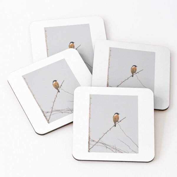 Item preview, “ Stone chatting “ designed and sold by Richard Couchman.
