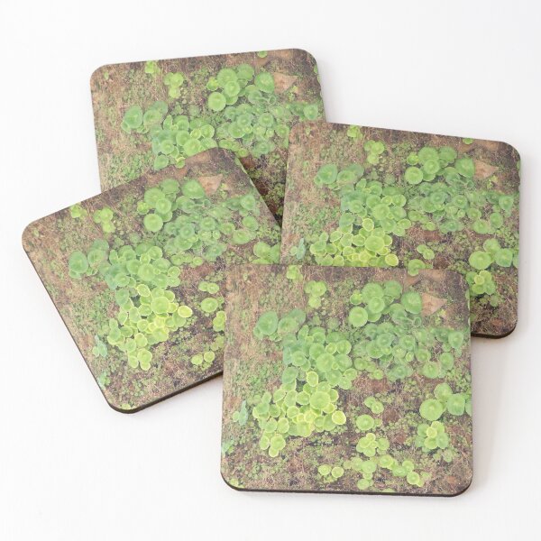 Artikelvorschau, Croatian Green entworfen und verkauft von Boscastle.