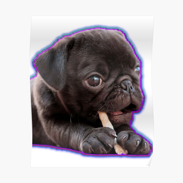 "Mops pixel" Poster by yura37furman Redbubble