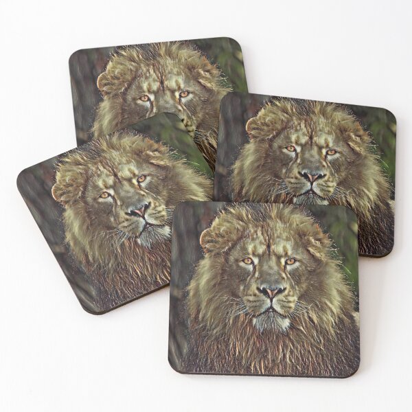Item preview, lion designed and sold by Cloudtail.