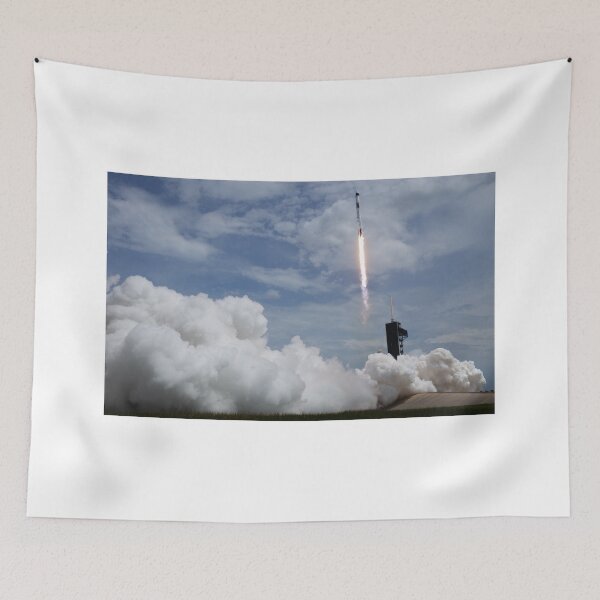 Item preview, SpaceX and NASA Demo-2 Launch designed and sold by Star-Citizen.