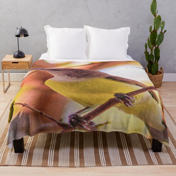 Honeybird blanket hot sale