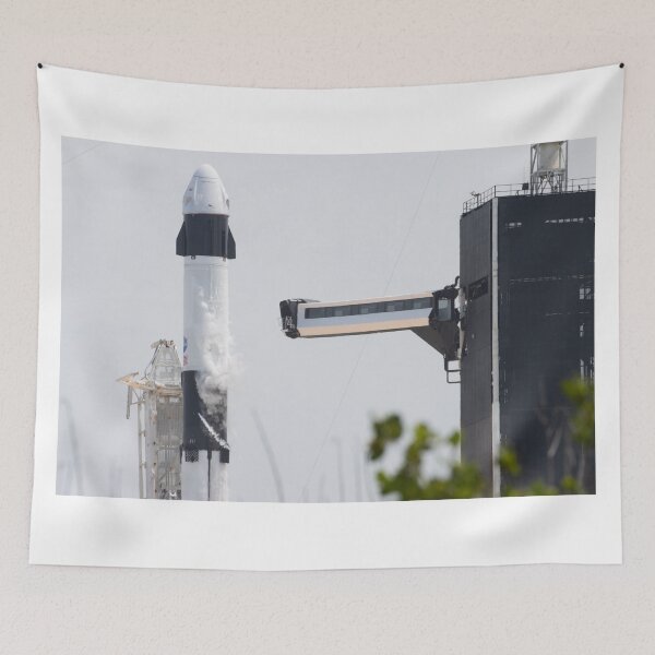 Item preview, SpaceX and NASA Demo-2 mission designed and sold by Star-Citizen.