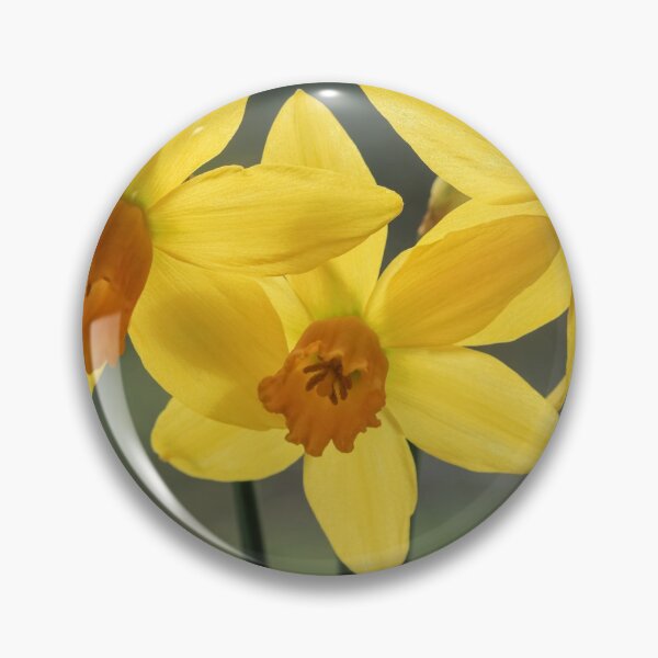 Item preview,  Daffodils. designed and sold by John Ray.