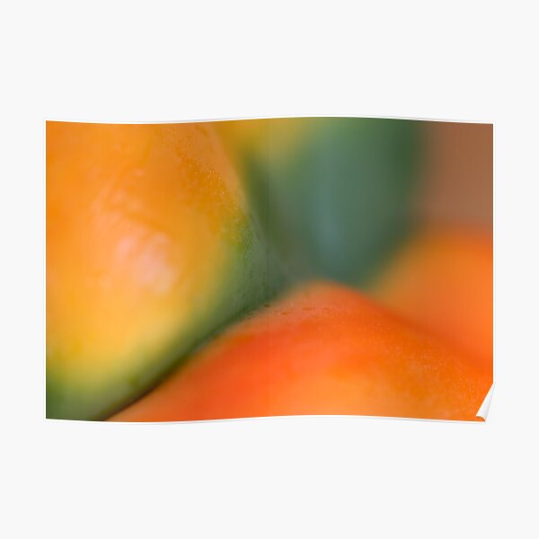 painted bodyscape Poster