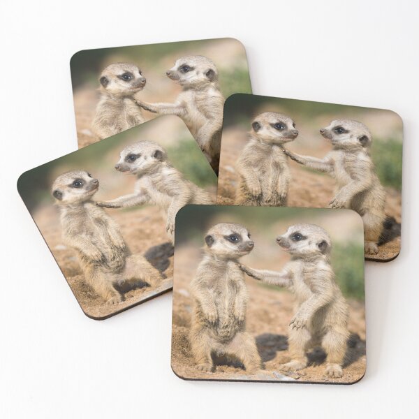 Item preview, young meerkat designed and sold by Cloudtail.