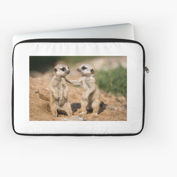 Item preview, young meerkat designed and sold by Cloudtail.