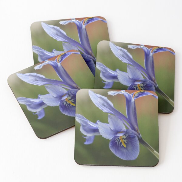Item preview,  Dwarf Iris. designed and sold by John Ray.