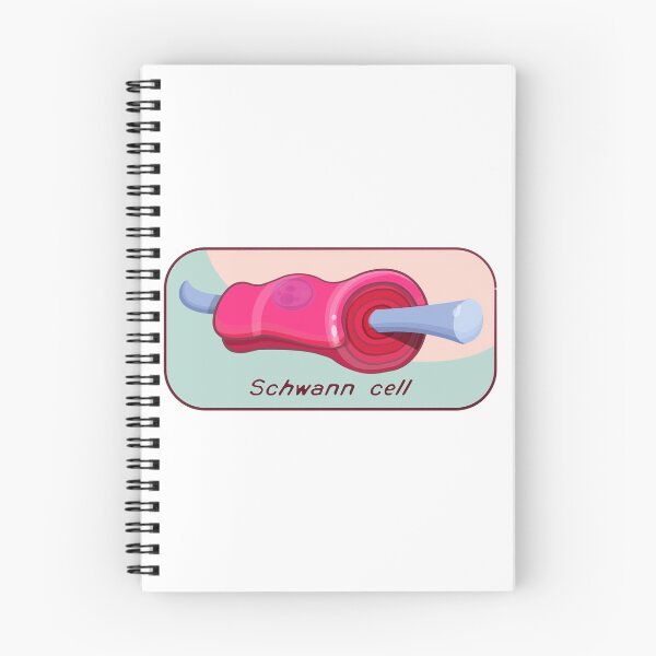 Item preview, Schwann cell designed and sold by John Chilton.