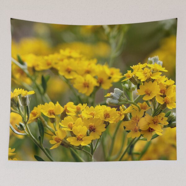 Item preview, Abundant Yellowness designed and sold by cuprum.