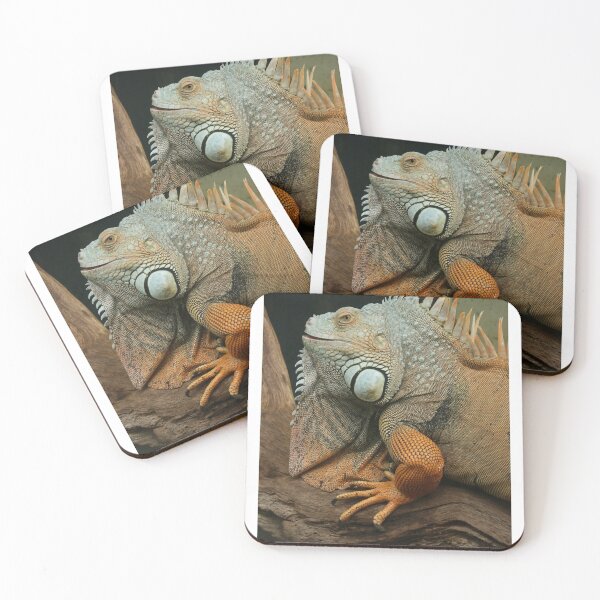 Item preview, Green Iguana designed and sold by aquabella.
