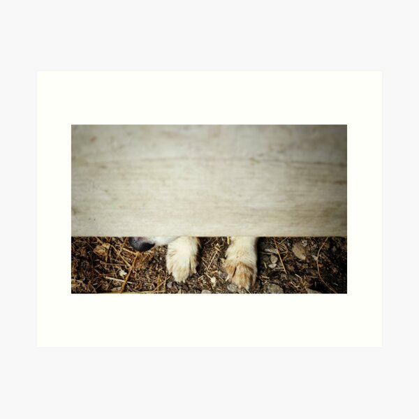 Hide and Seek Art Print