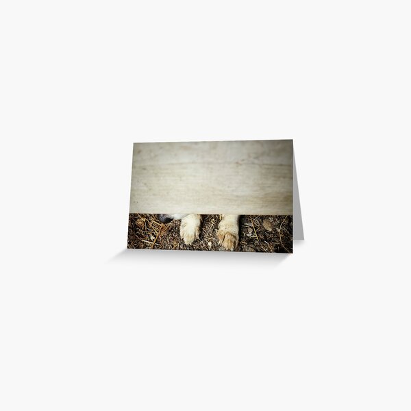 Hide and Seek Greeting Card
