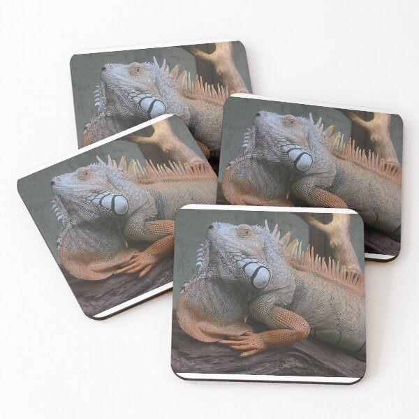 Item preview, Green Iguana designed and sold by aquabella.