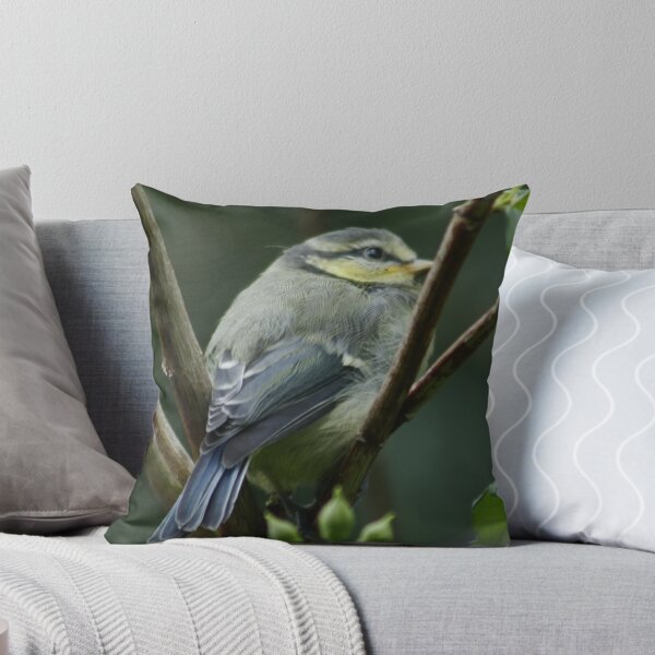 Item preview, Juvenile BlueTit designed and sold by AnnDixon.