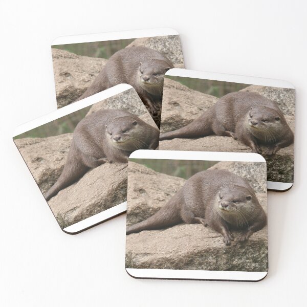 Item preview, Otter designed and sold by aquabella.