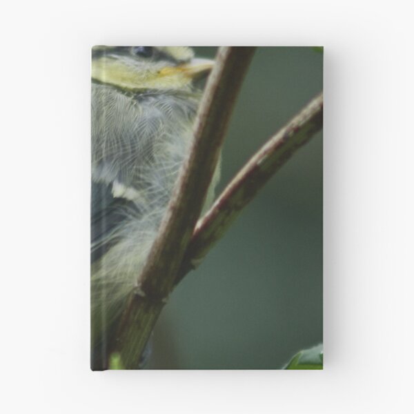 Item preview, Juvenile BlueTit designed and sold by AnnDixon.