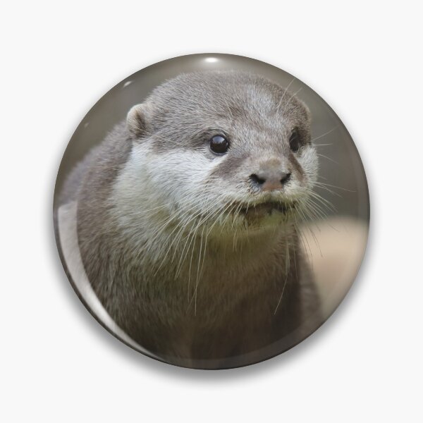 Item preview, Otter designed and sold by aquabella.